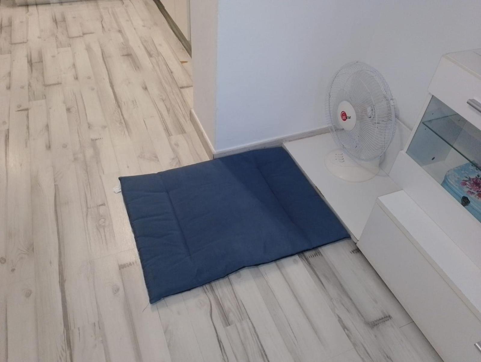 Casa Sol Y Mar 3K Apartman Torrevieja Szoba fotó